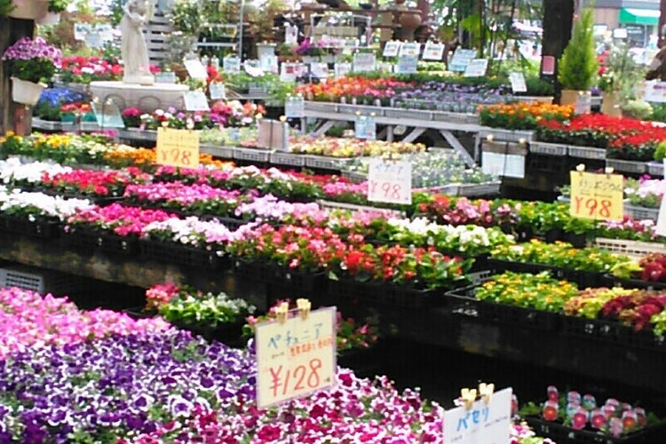 花ひろば 三重県 こころから