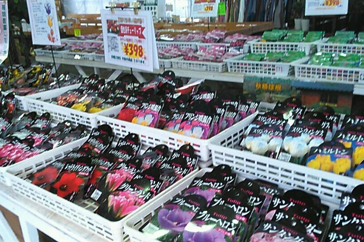 花ひろば 三重県 こころから