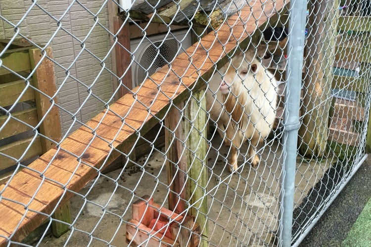 トリアスふれあい動物園 福岡県 こころから