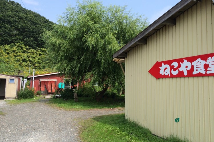 ねこや食堂 北海道 こころから