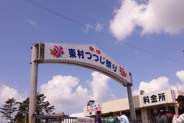東村村民の森 つつじエコパーク 沖縄県 こころから