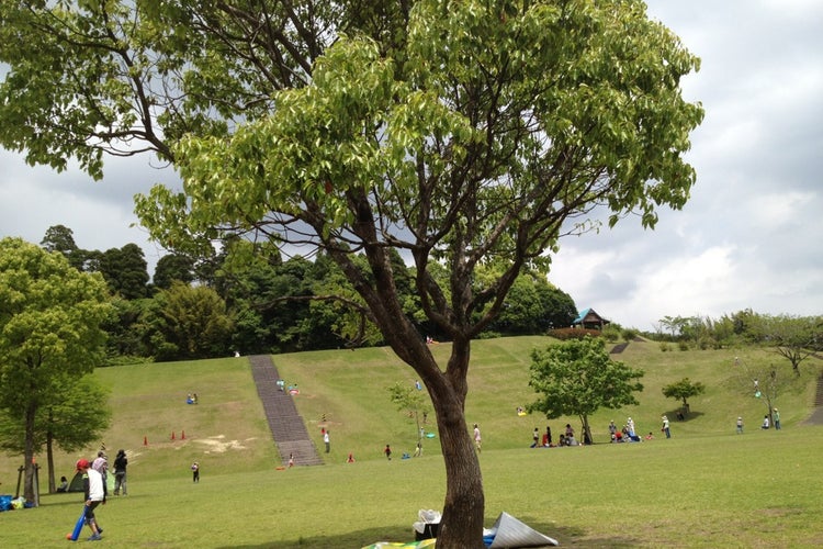 清水台総合運動公園 宮崎県 こころから