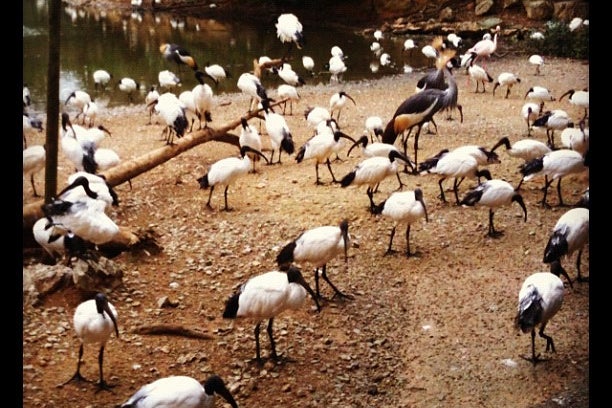 ネオパークオキナワ 沖縄県 こころから