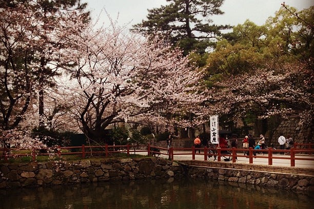 勝山公園（福岡県）｜こころから