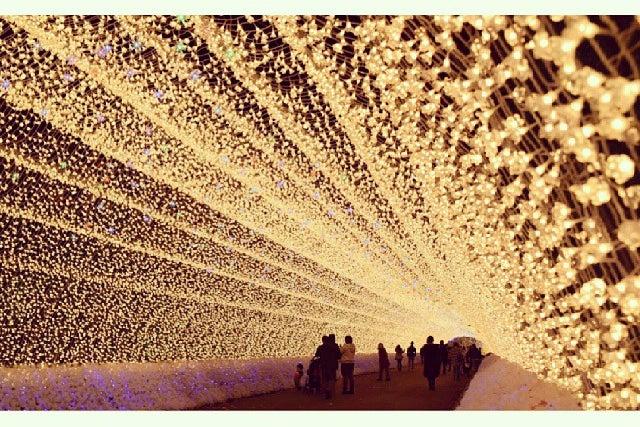 なばなの里 花市場 三重県 こころから