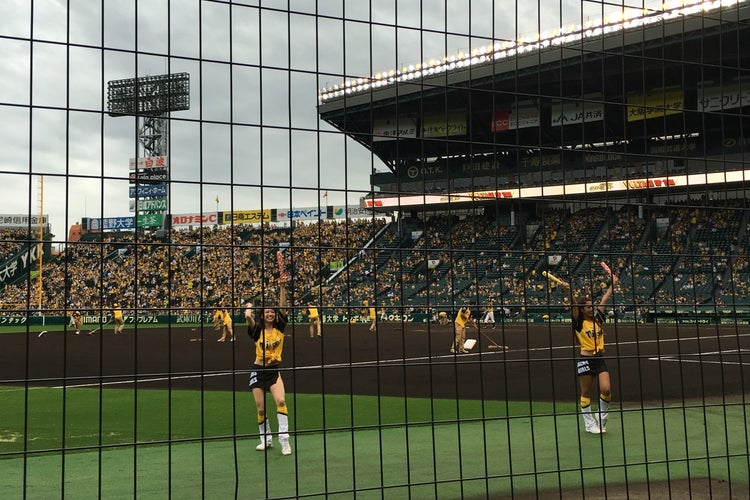 阪神甲子園球場 3塁SMBCシート（兵庫県）｜こころから