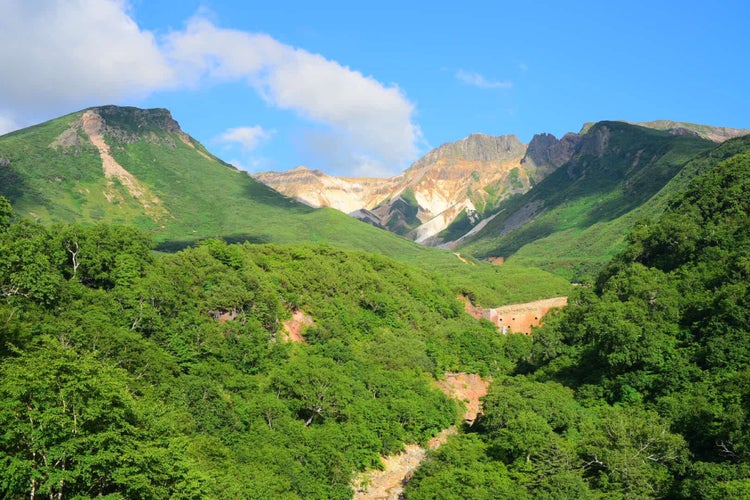 十勝岳温泉 湯元凌雲閣 北海道 こころから