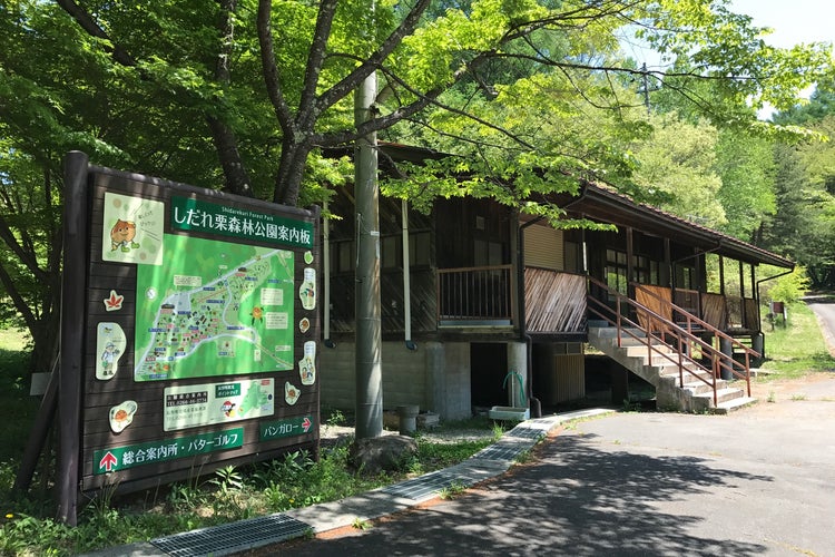 しだれ栗森林公園 長野県 こころから