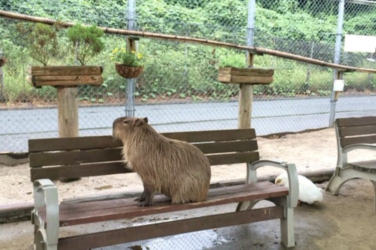 トリアスふれあい動物園 福岡県 こころから