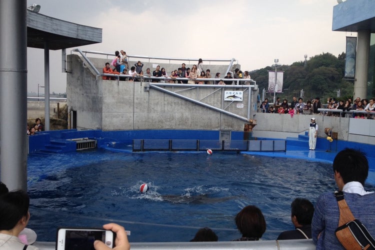 大分マリーンパレス水族館 うみたまご 大分県 こころから