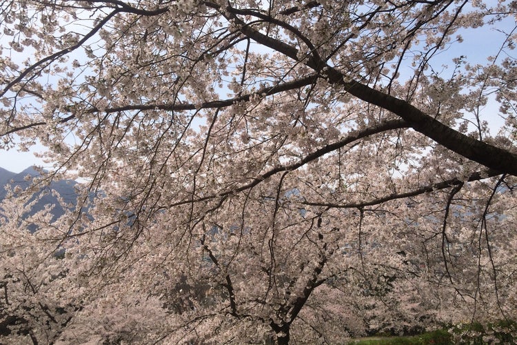 戸倉宿キティパーク 長野県 こころから