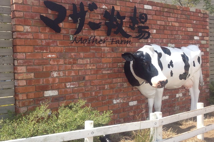 マザー牧場 千葉県 こころから