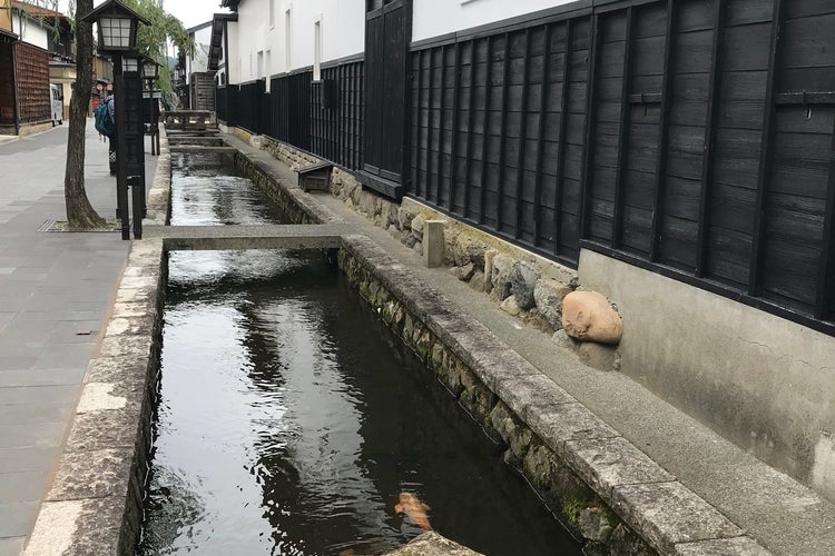 白壁土蔵街 白壁土蔵街 飛騨古川