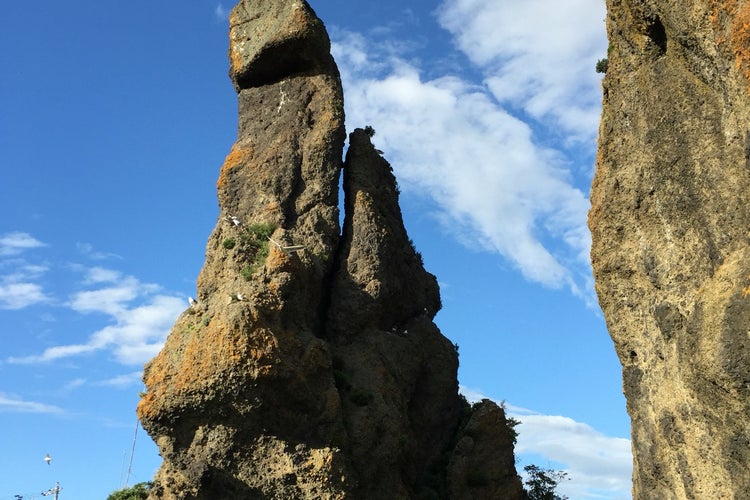 豊似石、ゴジラ、山型 豊似石、ゴジラ、山型