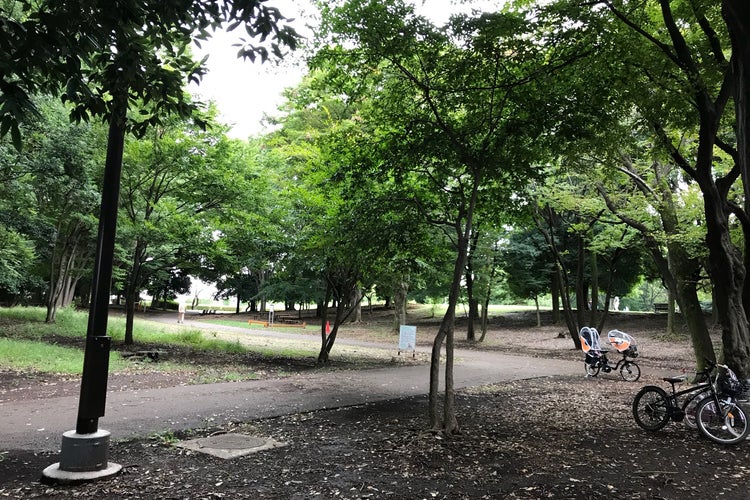 ここから自転車で甚大 植物公園