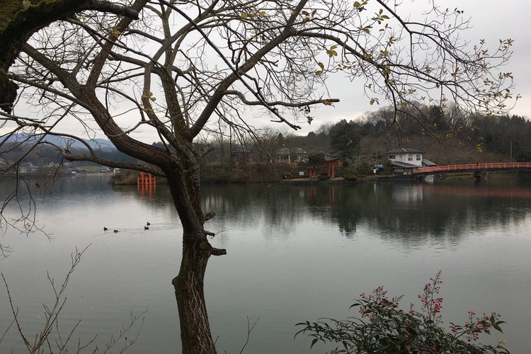 庄原上野池公園 広島県 こころから