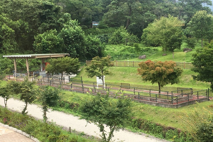 天然温泉 峠の湯 長野県 こころから