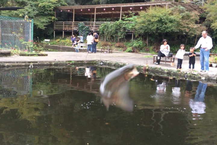 養老渓谷釣堀センター 千葉県 こころから