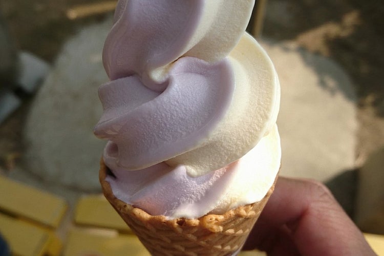 あんずの里 ふれあい館 福岡県 こころから