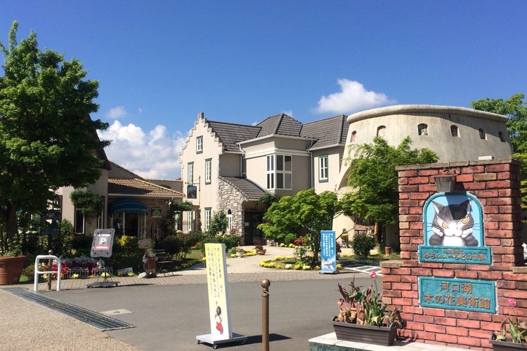 河口湖 木ノ花美術館 山梨県 こころから