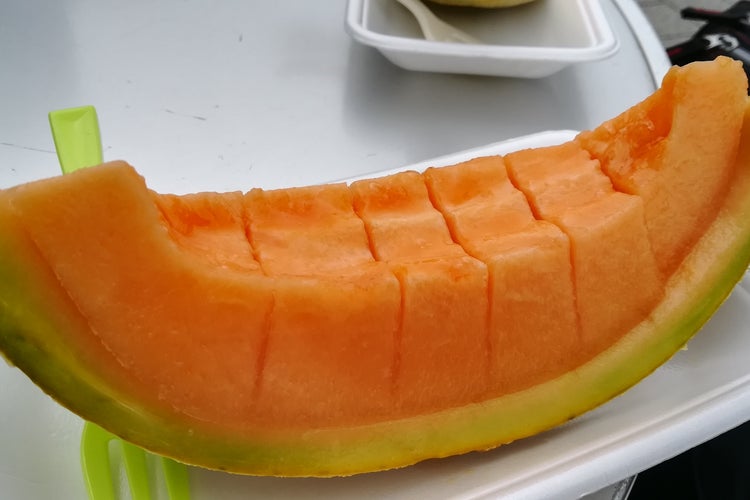 由仁PA (上り/千歳恵庭方面)（北海道）｜こころから
