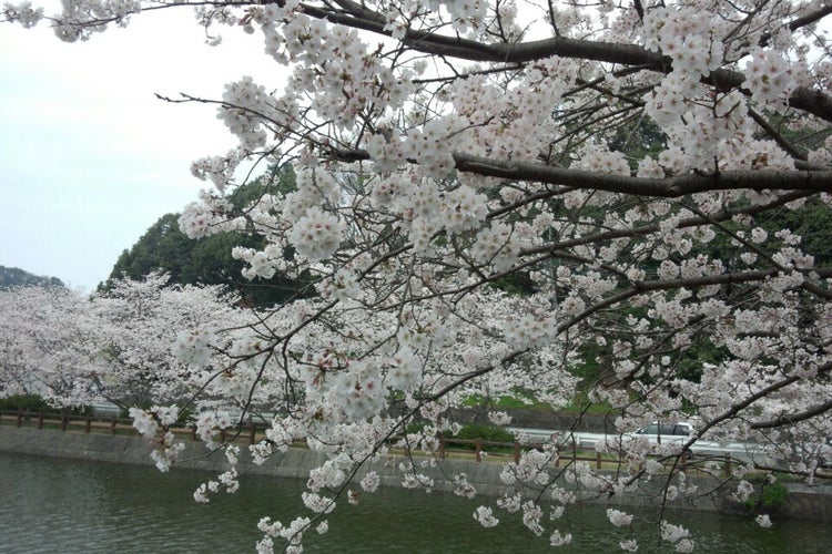 立岡自然公園 熊本県 こころから