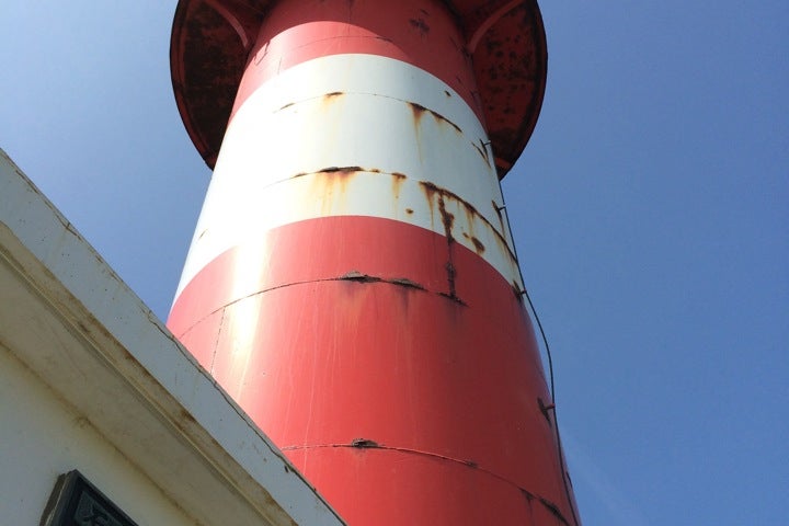 はまなすの丘公園 ヴィジターセンター 北海道 こころから