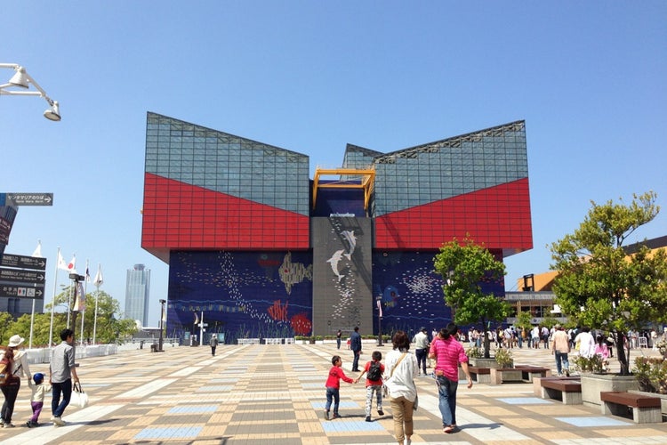 海遊館 大阪府 こころから