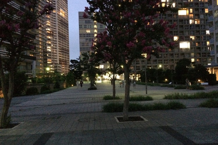 東雲水辺公園 東京都 こころから