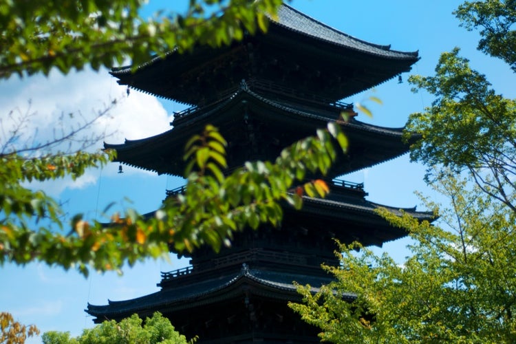 東寺 五重塔（京都府）｜こころから