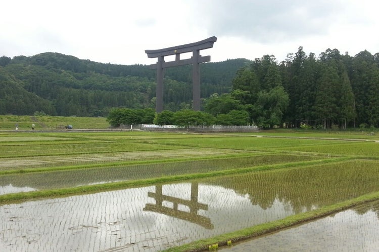 熊野本宮大社旧社地 大斎原 奈良県 こころから