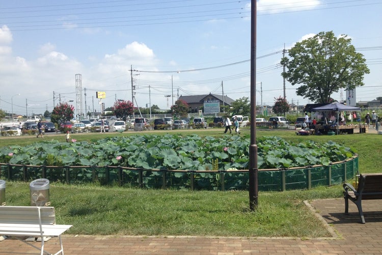 白岡市総合運動公園 埼玉県 こころから