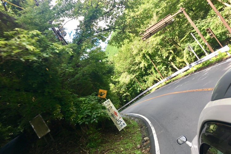 天城峠 静岡県 こころから
