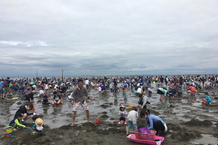 富津海岸潮干狩り場 千葉県 こころから