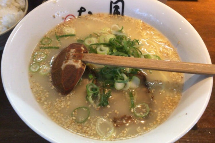 博多ラーメン たい風 米原店 滋賀県 こころから