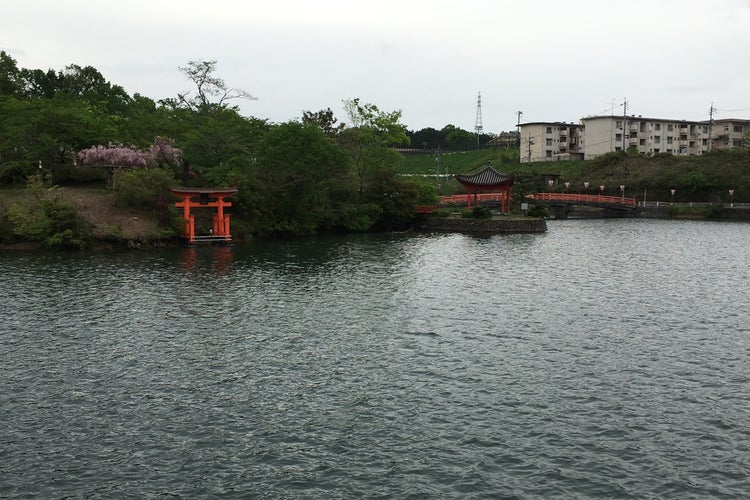 庄原上野池公園 広島県 こころから