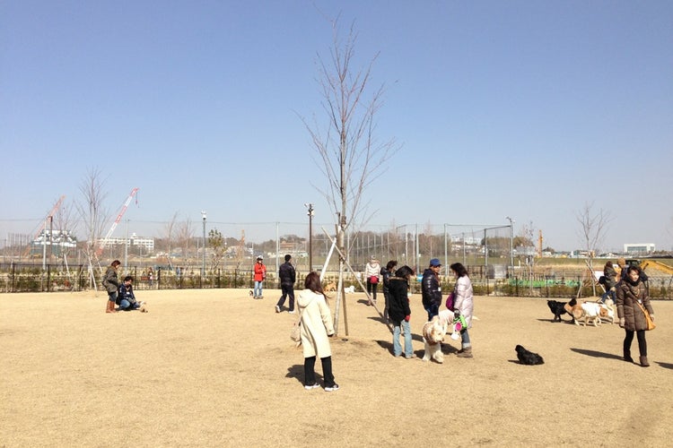 新横浜公園ドッグラン 神奈川県 こころから