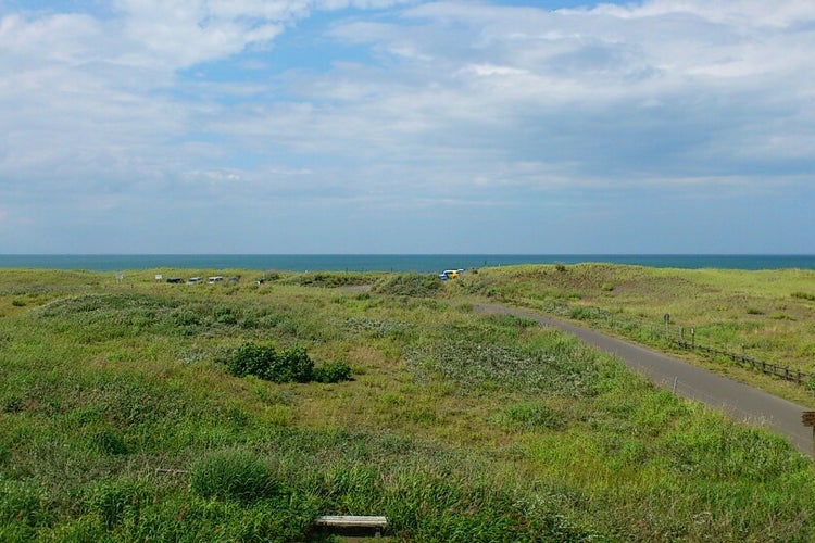 はまなすの丘公園 ヴィジターセンター 北海道 こころから