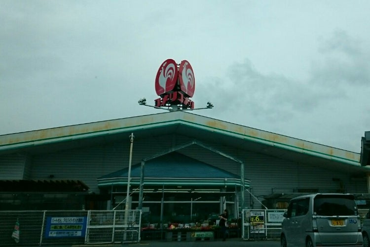 コメリ ハード グリーン 河内河南店 大阪府 こころから