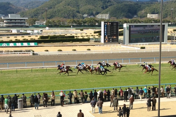 小倉競馬場 福岡県 こころから