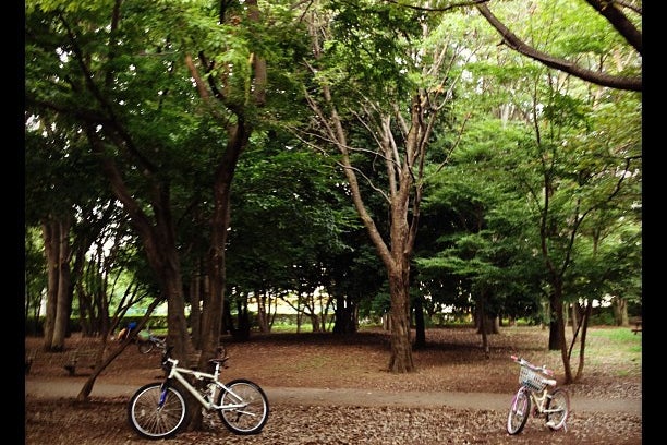 神代公園 自由広場 オファー ペット