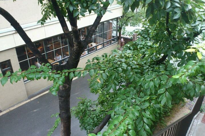 Truck Furniture 大阪府 こころから