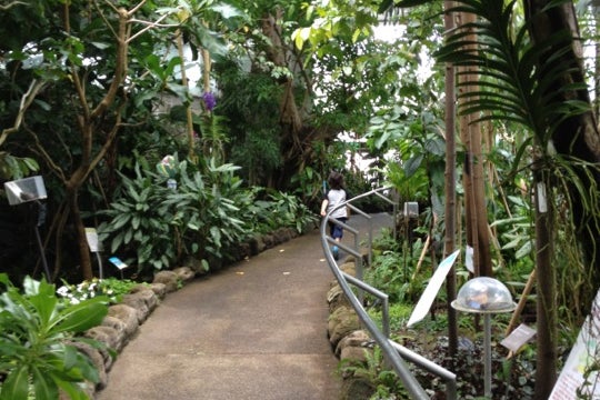 板橋区立 熱帯環境植物館 東京都 こころから