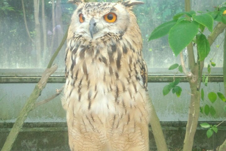 掛川花鳥園 静岡県 こころから