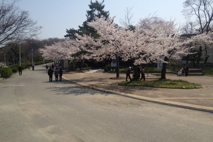 服部緑地公園 大阪府 こころから