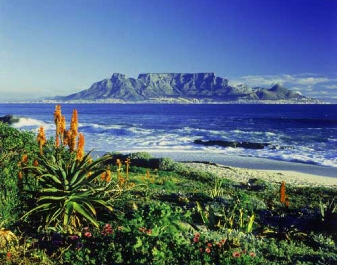 Discount [75% Off] Ten On Avenue Saint Leon Bantry Bay ...