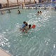 meadowbrook pool