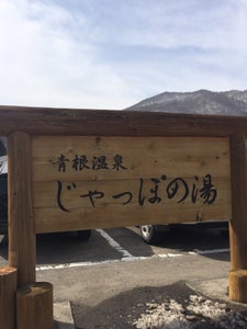 青根温泉 じゃっぽの湯