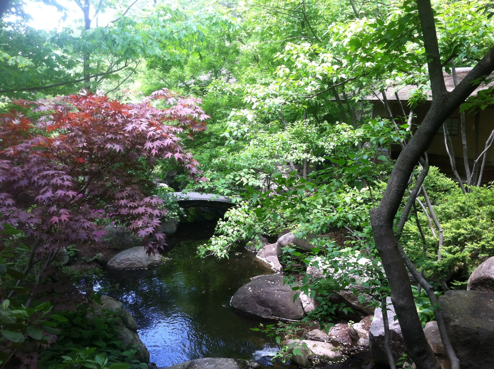 Холмск японский сад