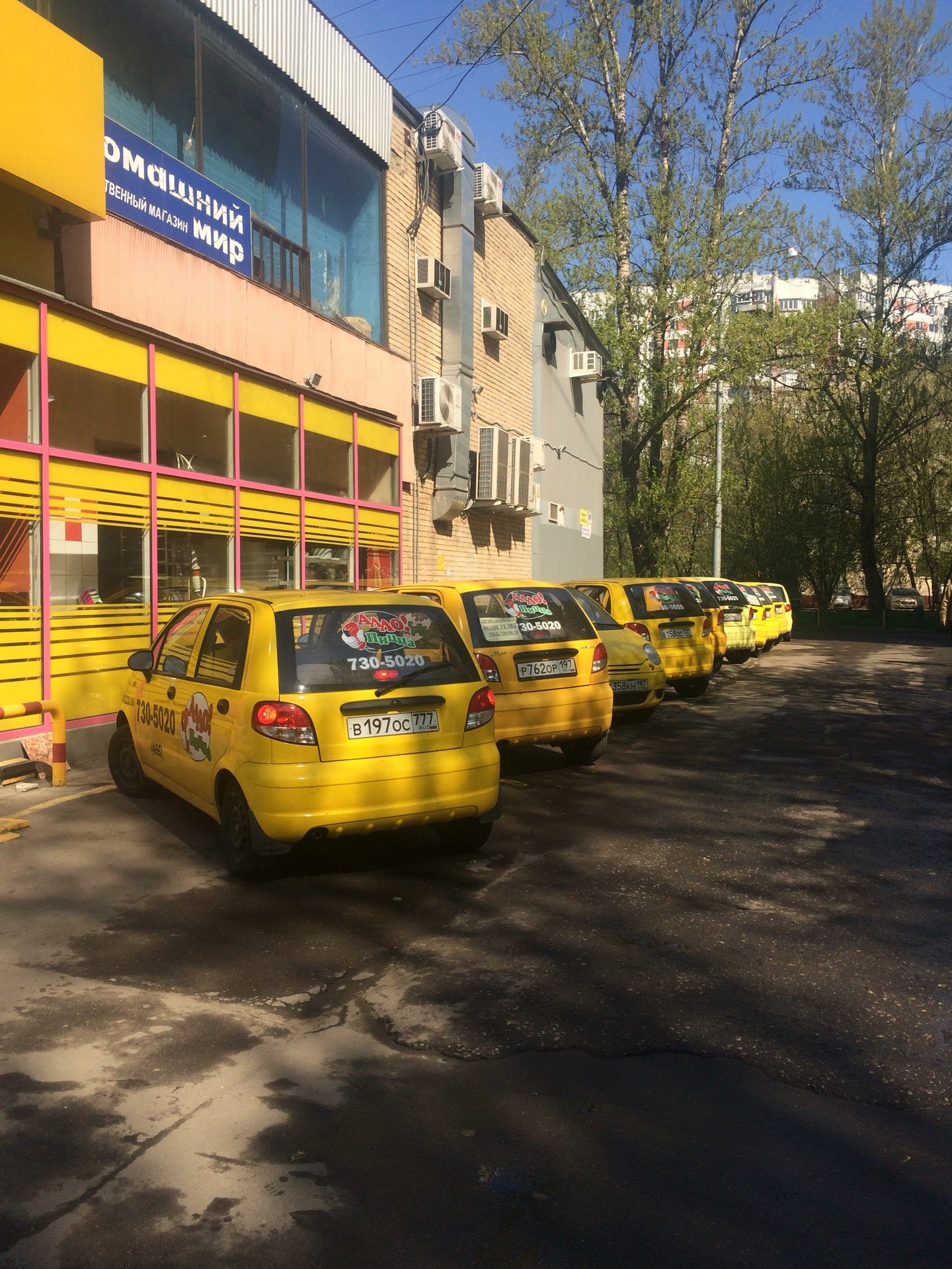 алло пицца москва солнцево телефон фото 37